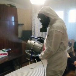 Дезинфекция от клопов в Лобне