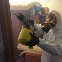 Уничтожение клопов в квартире. Лобня